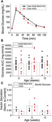 Modulation of Gap Junction Coupling Within the Islet of Langerhans During the Development of Type 1 Diabetes